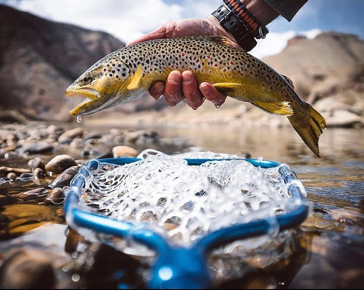 How are we so much cheaper than the Big Brands?