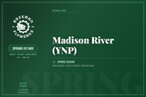 Madison River (YNP) - Spring Fly Box