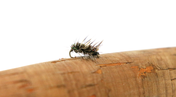 Midge