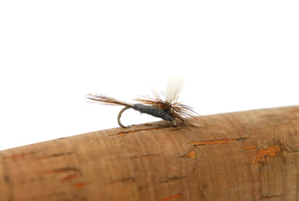 Mayflies