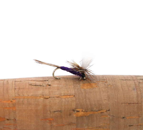 Mayflies
