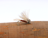 D0014 - X Caddis - Brown