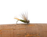 D0015 - X Caddis - Olive