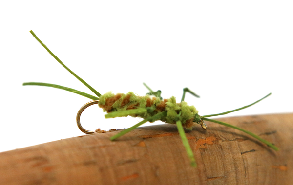 Stonefly Nymphs