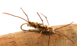 N0002 - Sili Legs Stonefly Coffee/Black