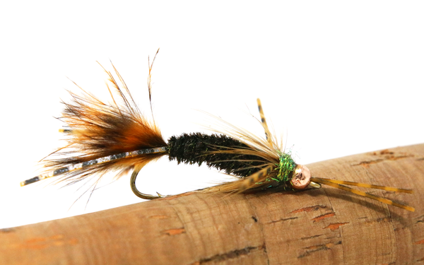 Stonefly Nymphs