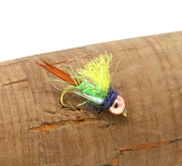 Caddis Nymph