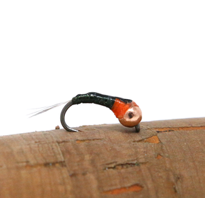 N0030 - Perdigon - Green Orange Collar