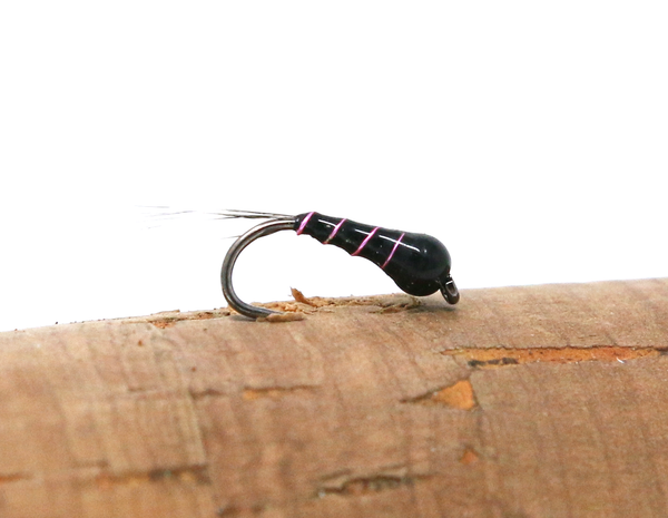 Chironomids
