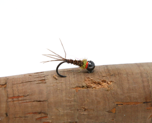 N0045 - Bead Head Frenchie