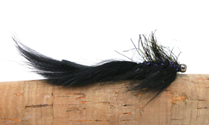 S0021 - Balanced Leech