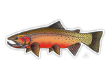 Westslope Cutthroat Trout Decal