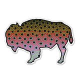 Bison Rainbow Trout Decal
