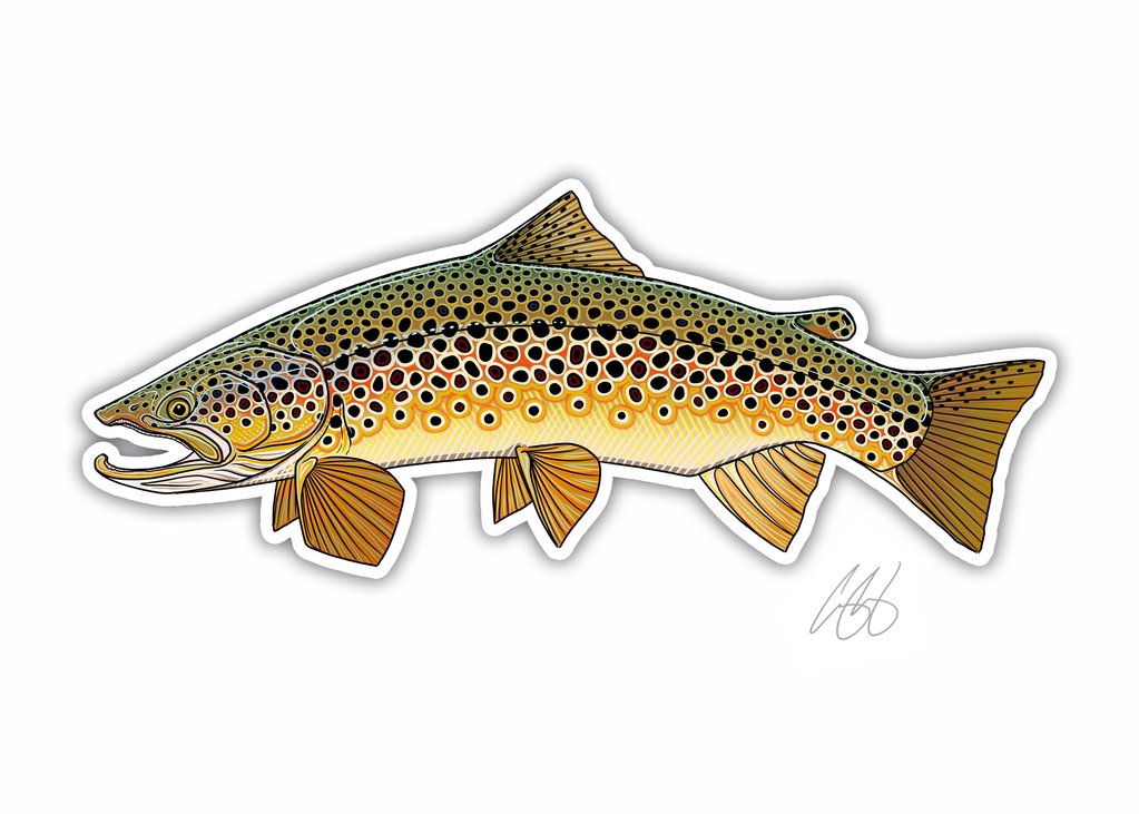GD Fly Fishing Bear Trout Reel / Pole Phish Sticker Decal