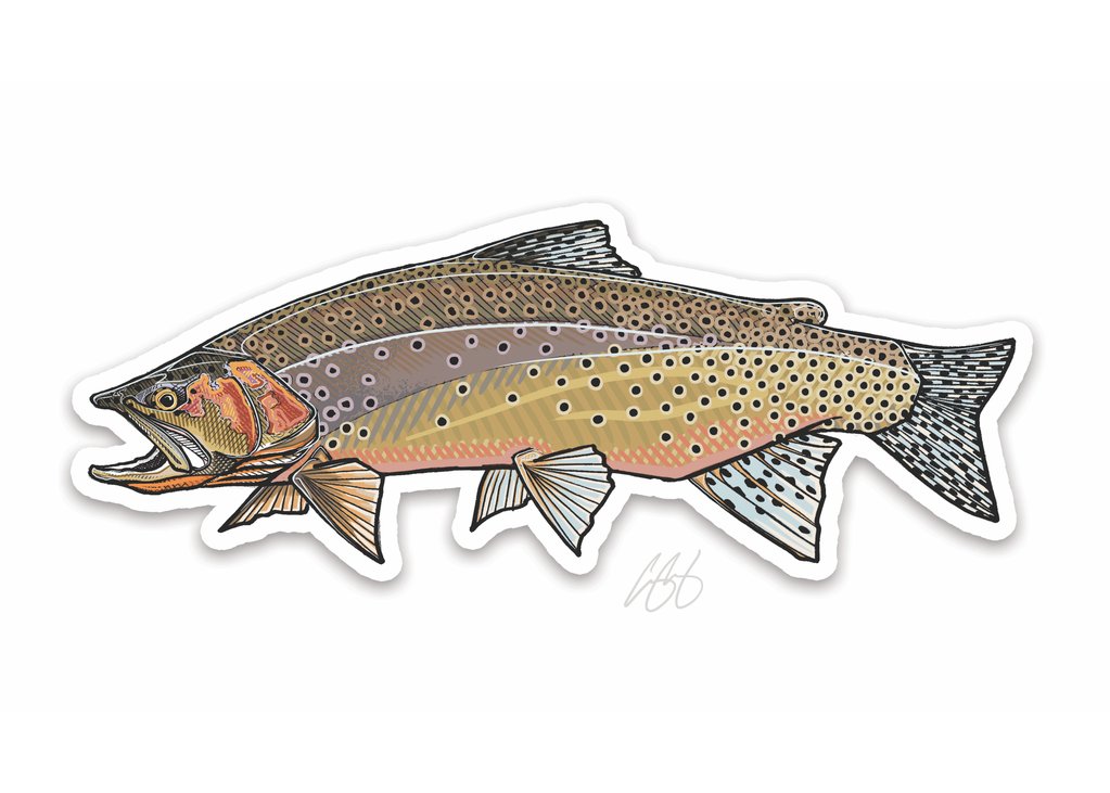 Westslope Cutthroat Trout Decal